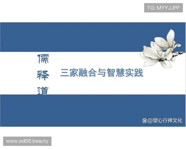 互博是什么意思？详细解析互博的含义与应用